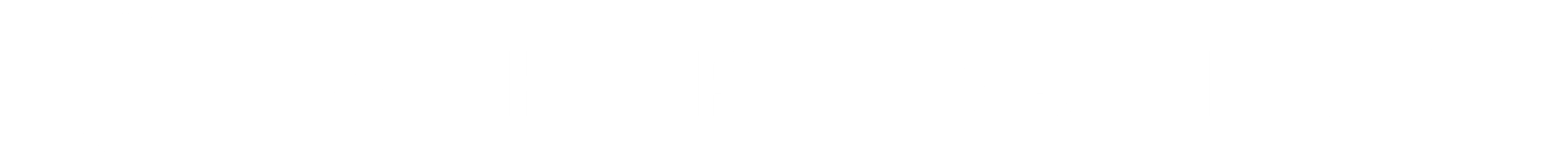 FF Horizontal Logo Lockup White